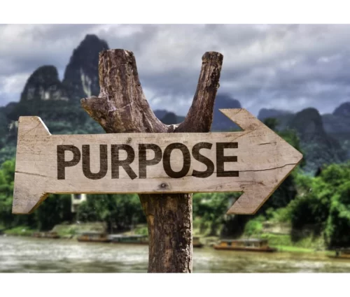 Purpose-Arrow-Sign-02-02-2024